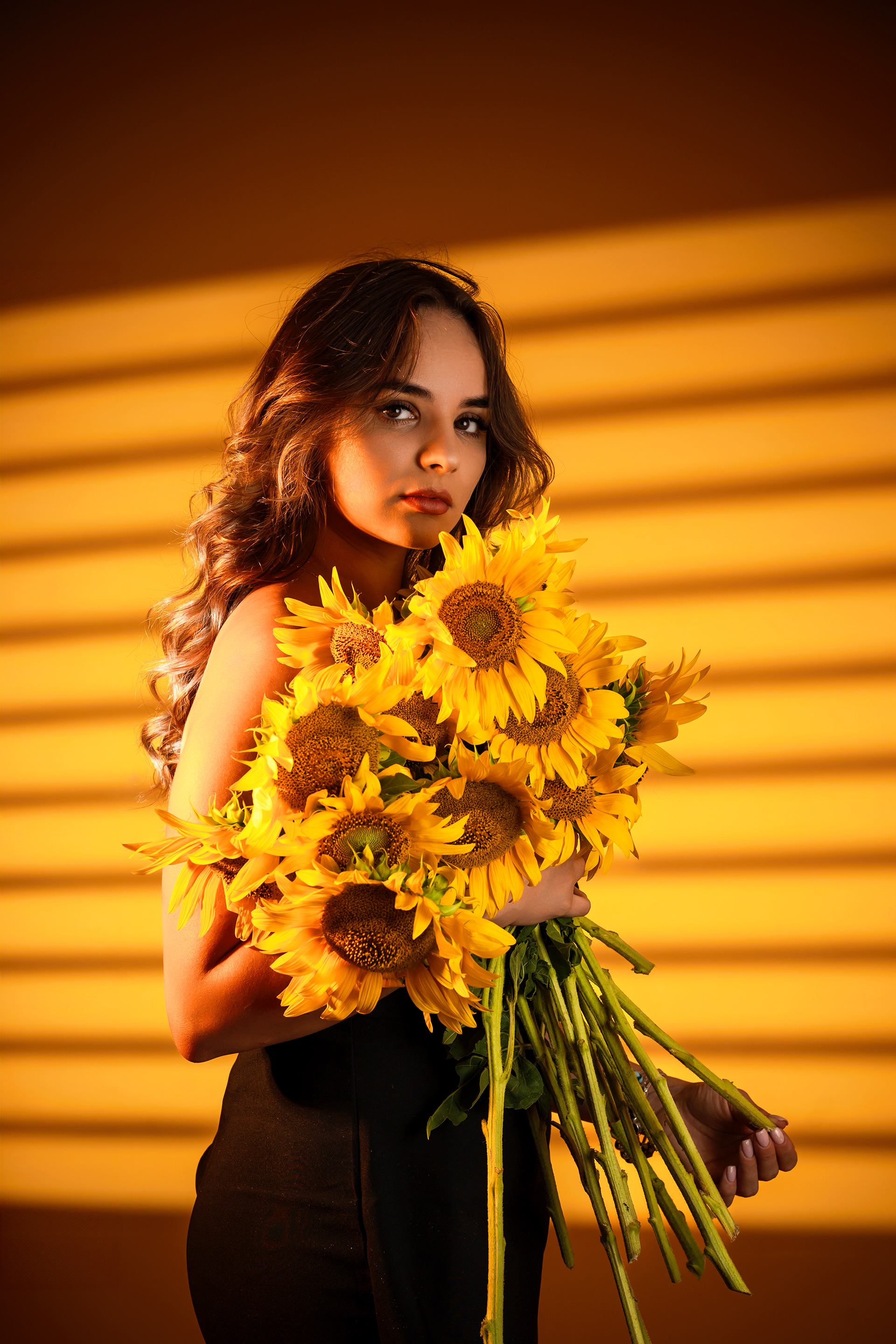 Studio Foto — floarea-soarelui, fundal galben